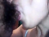 Sloppy Chinese Swallows