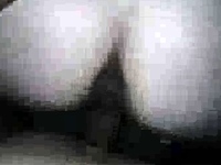 Good busty blonde wife orgasming with bbc cc | Anal Video Updates | Porn videos