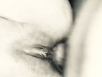 Hot amateur close up hardcore hd video | Anal Video Updates | Porn videos