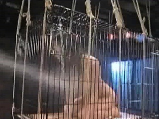 Caged & Sprayed...