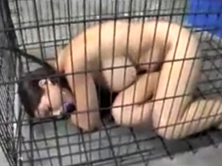 Sub Jane Spent Her Holidays In A Cage...