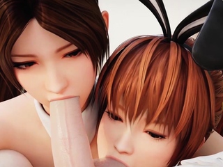 Dead or alive shy 3d mai getting fucked