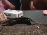 मुस्लिम बूढ़े ने चोदा