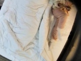 Hot amateur hidden cam