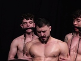 Stable Master Adam Snow has 3 new recruits!