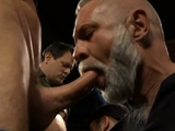 Hot Daddies Cock Party Chaos