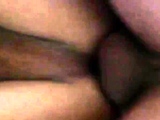 Amateur Bareback Daddy