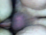 Daddy Breeds His Boy Doggy Style